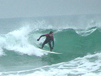 Surfer